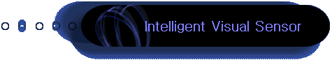Intelligent Visual Sensor